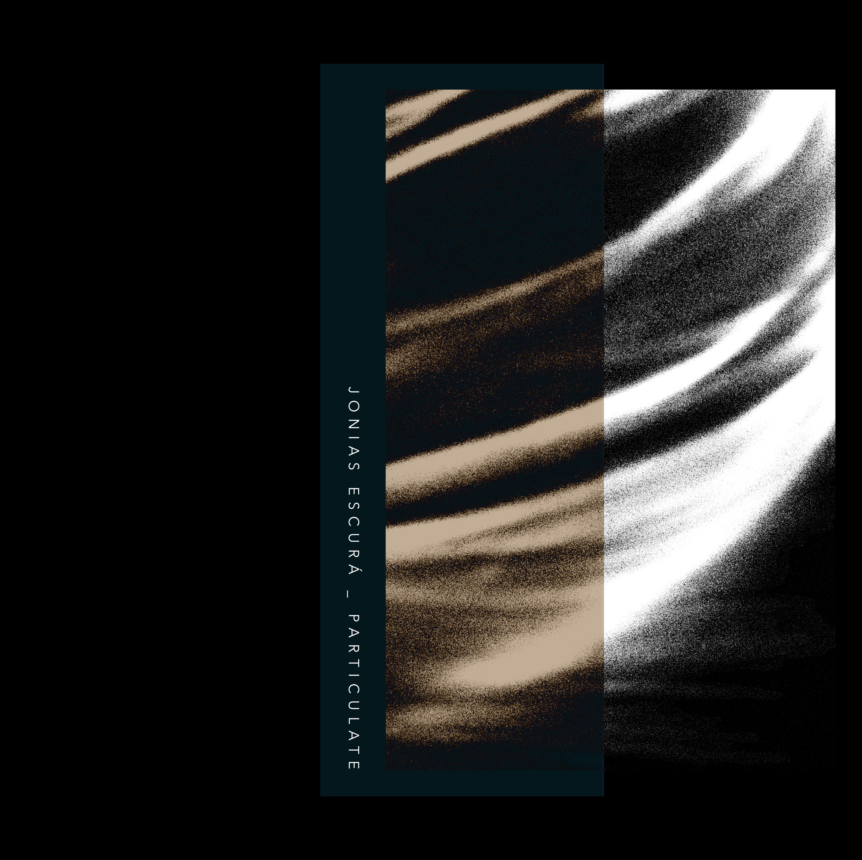 Particulate – Cover